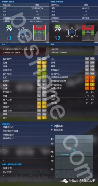 pes2013中超风暴 pes2017中锋-第2张图片-www.211178.com_果博福布斯